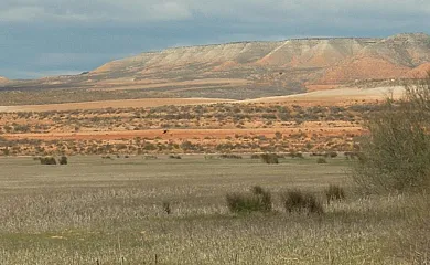 Casa El Altero y Casa Tere en Codo (Zaragoza) - Foto 15