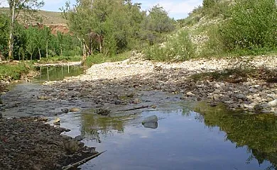 Casa El Altero y Casa Tere en Codo (Zaragoza) - Foto 19