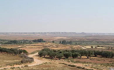 Casa El Altero y Casa Tere en Codo (Zaragoza) - Foto 23