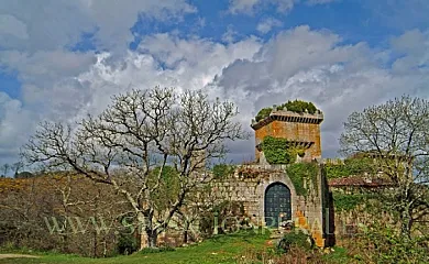 A Parada das Bestas en Palas de Rei (Lugo) - Foto 2