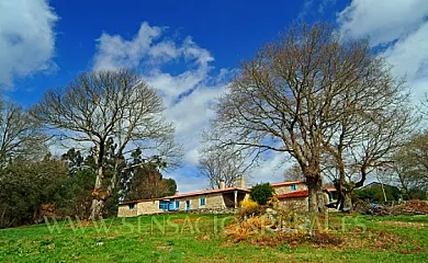 A Parada das Bestas en Palas de Rei (Lugo) - Foto 3