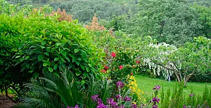 Casa El Higueral de la Sayuela 0015