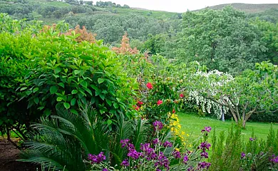 Casa El Higueral de la Sayuela en El Raso (Ávila) - Foto 15