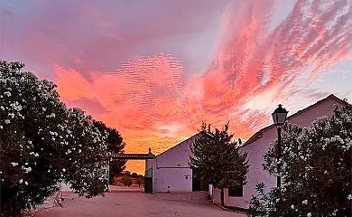 Casa Rural los Cerrillos en Argamasilla de Alba (Ciudad Real) - Foto 2