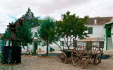 Casa Rural los Cerrillos en Argamasilla de Alba (Ciudad Real) - Foto 15
