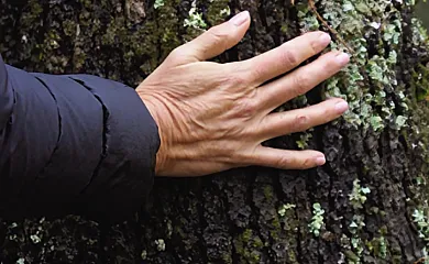 El Jardín del Alma en Brañosera (Palencia) - Foto 8