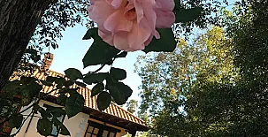 Apartamentos La Jarabiega 0032