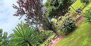 Apartamentos La Jarabiega 0038