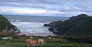 Apartamentos La Jarabiega 0041