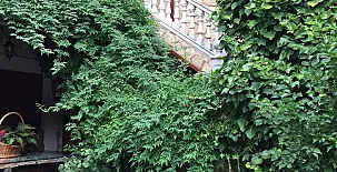 El Barranco del Lobo 0022