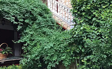 El Barranco del Lobo en Pancorbo (Burgos) - Foto 22