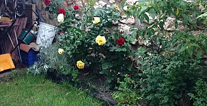 El Barranco del Lobo 0032