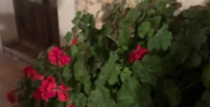 El Barranco del Lobo 0037