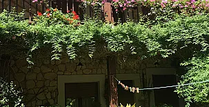 El Barranco del Lobo 0044