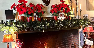 Caserío Las Cañadas 003