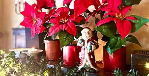 Caserío Las Cañadas 006