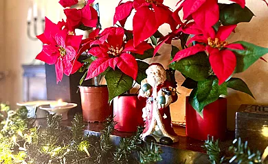 Caserío Las Cañadas en Muñopedro (Segovia) - Foto 6