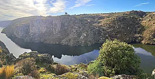 El Ciruelo Rojo**** 006