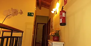 El Ciruelo Rojo**** 008