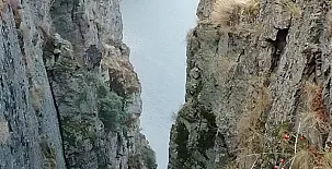 El Ciruelo Rojo**** 0019