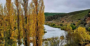 El Ciruelo Rojo**** 0020