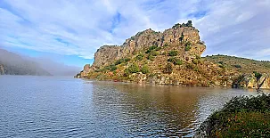 El Ciruelo Rojo**** 0022