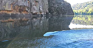 El Ciruelo Rojo**** 0024