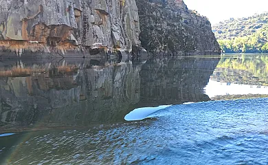 El Ciruelo Rojo**** en Villaseco del Pan (Zamora) - Foto 24