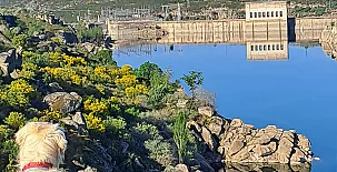 El Ciruelo Rojo**** 0026