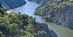 El Ciruelo Rojo**** 0032