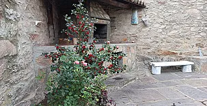 El Ciruelo Rojo**** 0034