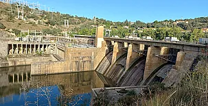 El Ciruelo Rojo**** 0035