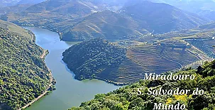 El Ciruelo Rojo**** 0038