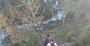 El Ciruelo Rojo**** 0041