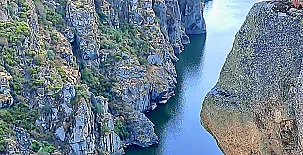 El Ciruelo Rojo**** 0044