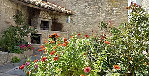 El Ciruelo Rojo**** 0046