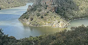 El Ciruelo Rojo**** 0047