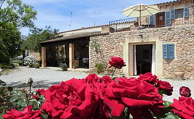 Na Set Centes en Arta (Baleares) - Foto 4