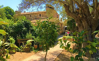 Son Penyaflor en Alaro (Baleares) - Foto 4