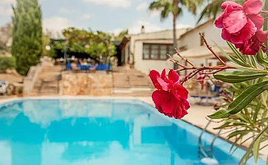 Perola en Llucmajor (Baleares) - Foto 3