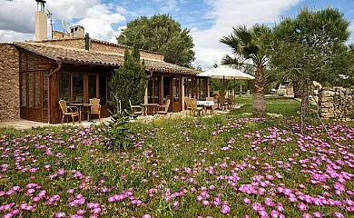 La Verana en Llucmajor (Baleares) - Foto 4