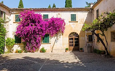 Fangar en Campanet (Baleares) - Foto 2