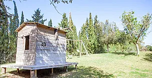 Hort de Sa Begura 005