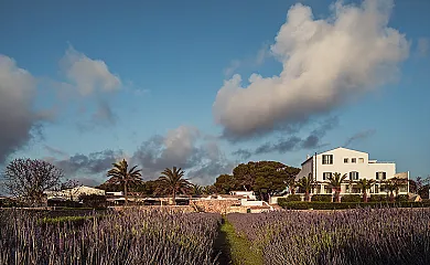 Sant Joan de Binissaida en Es Castell (Baleares) - Foto 1