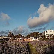 Sant Joan de Binissaida 001