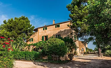 Son Amer en Manacor (Baleares) - Foto 2