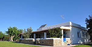 Vinya D´en Palerm 002