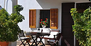 Vinya D´en Palerm 003