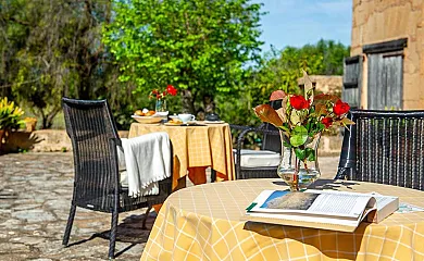 Sos Ferres D´en Morey en Manacor (Baleares) - Foto 6