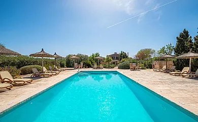 Sa Carrotja en Ses Salines (Baleares) - Foto 1